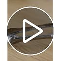 Eispap Silver Ice Tongs with Eagle Claw Non-Slip Grip Stainless Steel Serving Utensils