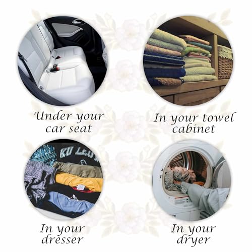 Lumintrail Diva Dryer Sachets Bundle with Stain Remover Pen - Reusable Fabric Softener & Fragrance for Laundry & Home