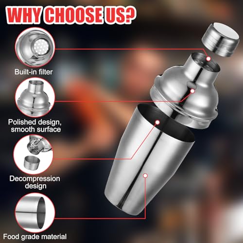 Silver 6-Piece Stainless Steel Cocktail Shaker Set 18.6 oz for Home & Bar