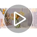 12 Pack Clear Glass Cylinder Vases 6 Inch - Centerpieces for Wedding & Home