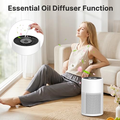 True HEPA Air Purifier 2-Pack for Bedroom Smoke Dust Pet Dander White