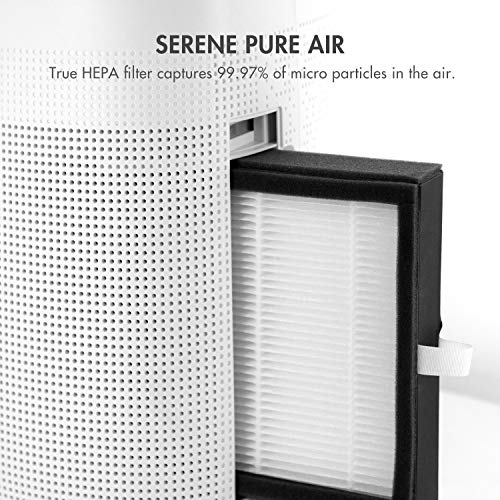 Compact 1000ml Air Dehumidifier with True HEPA Air Purifier and Auto Shutoff