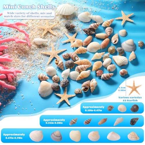 1200 Pcs Natural Mini Seashells & Starfish Set for DIY Crafts & Decor