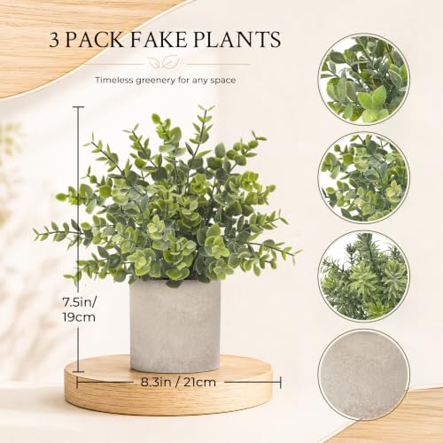 3-Pack Small Artificial Eucalyptus Plants in Pots for Home Office Desk Decor
