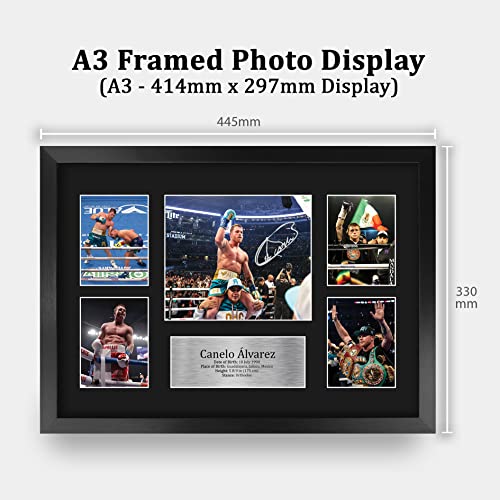 Canelo Alvarez Framed Boxing Photo Display 16 x 12 Inch Memorabilia