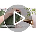 decorUhome Soft Chenille Moss Green Throw Pillow Covers 18x18 (Set of 2)