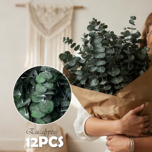 12 PCS Preserved Eucalyptus Stems for Shower, 17-Inch Natural Dried Greenery