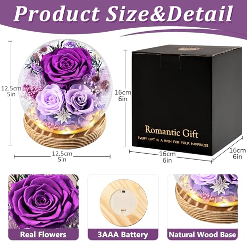 Preserved Purple Rose in Glass Dome with LED Lights, Eternal Flower Gift