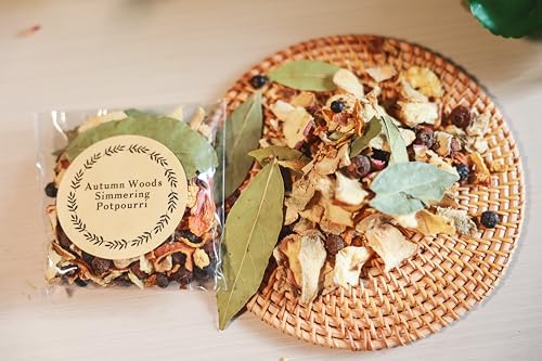 Stove Top Simmering Potpourri Kit - 10 All-Natural Dried Fruit & Spice Blends