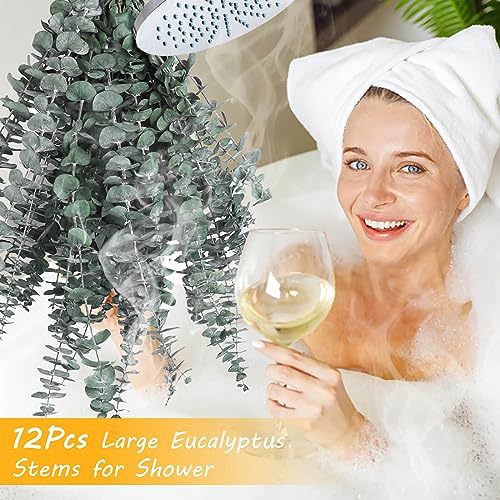 Preserved Eucalyptus Stems for Shower - 17" Natural Dried Plants (12 Pack)