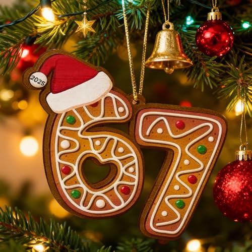 MYSQIHO 3-Pack 67 Meme Funny Christmas Ornaments - Santa Acrylic Decorations for Tree (Variation C)