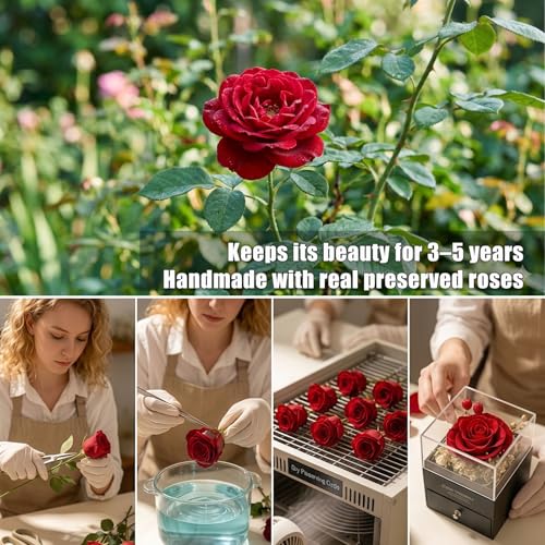 Red Preserved Real Rose with Heart Necklace - Mother's Day Gift Set