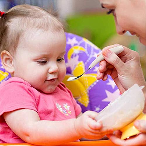 Stainless Steel Toddler Utensils with Travel Case, 2-Set Forks and Spoons