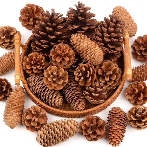 54 PCS Natural Pine Cones for Crafts Set Medium & Extra Large 1.2"-4"
