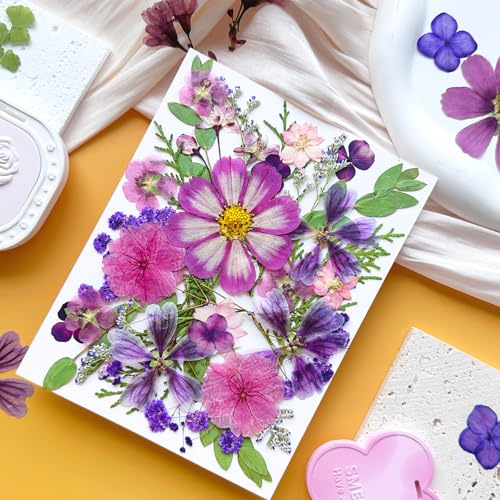35 Pcs Real Purple Pressed Dried Flowers & Leaves for DIY Resin Crafts
