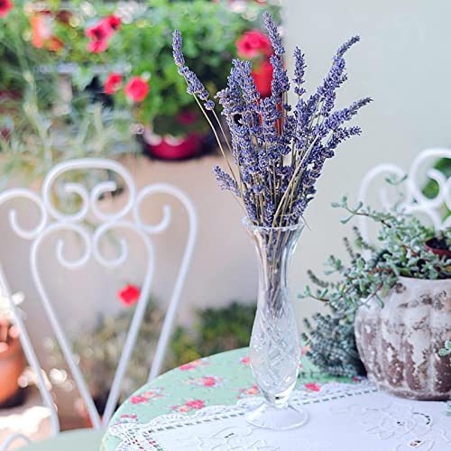 Natural Dried Lavender Flower Bundles for Home Decor and Fragrance
