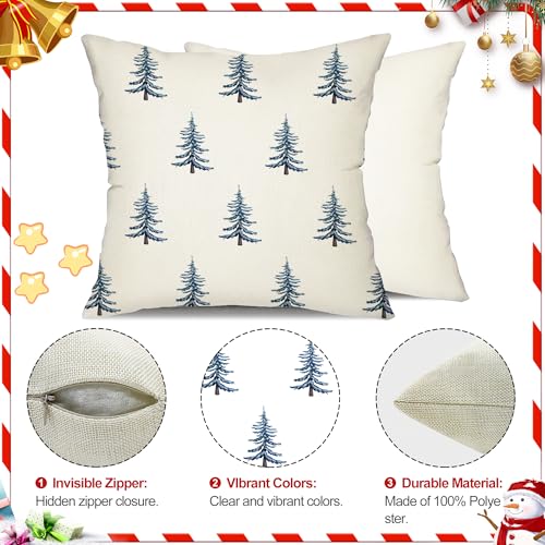 DFXSZ 18x18 Inch Set of 2 Blue & White Christmas Pillow Covers Winter Decor