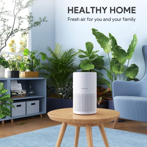 FULMINARE H13 True HEPA Air Purifier for Bedroom, Quiet Small Air Cleaner with Night Light