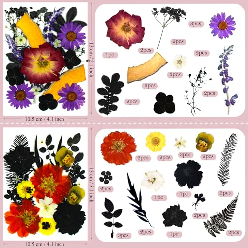 92 Pcs Natural Dried Pressed Flowers and Leaves for Resin Art and Crafts