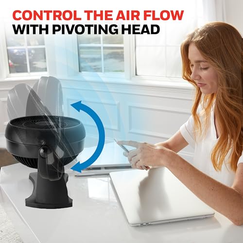 Honeywell TurboForce Air Circulator Tabletop Fan, 3-Speed Quiet Personal Fan