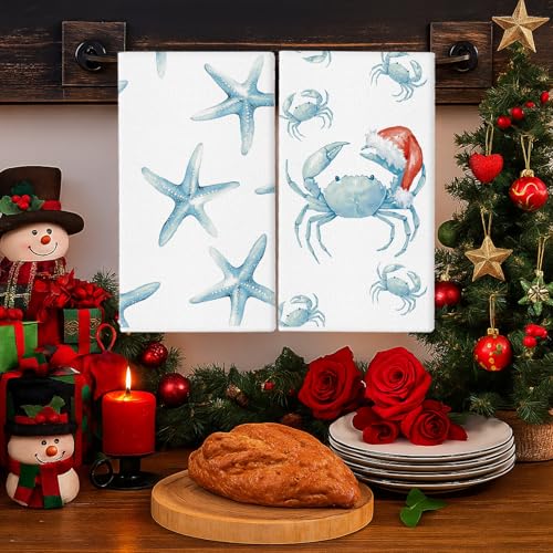 GPGHE Coastal Christmas Kitchen Towels Set of 4, 18x26 Inch Holiday Dish Towels