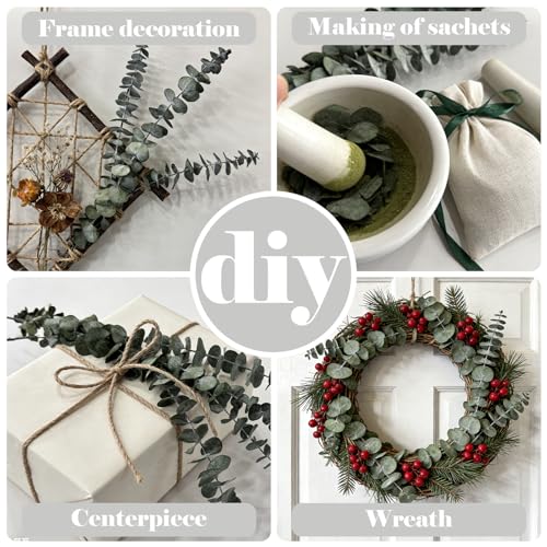 12 PCS Preserved Eucalyptus Stems for Shower, 17-Inch Natural Dried Greenery