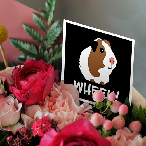 3dRose Guinea Pig Animal Wheek Funny Gift Greeting Card with Envelope - Single