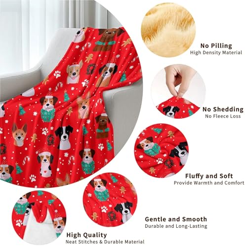 Amasnay Candy Cane Xmas Dog Throw 40x50in Ultra Soft Fleece Blanket