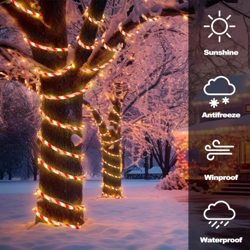 Candy Cane Christmas Lights 33ft 240 LED with 8 Modes – Warm White