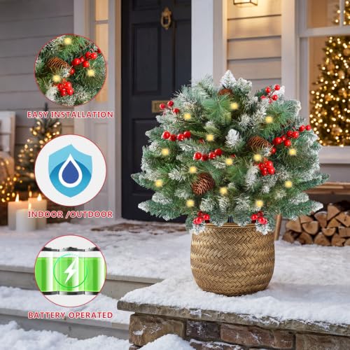 2-Pack Artificial Christmas Urn Filler – Pre-lit Mini Trees with 60 LEDs, Warm White (Variation: Warm White / 2)