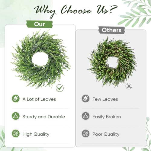 20-Inch Artificial Boxwood Wreath for Front Door – All-Season Greenery
