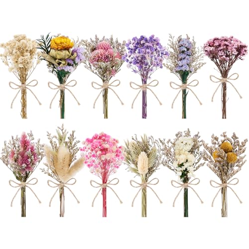 Mini Dried Flowers Bouquet Set - Natural Wildflowers for Vases & DIY Crafts