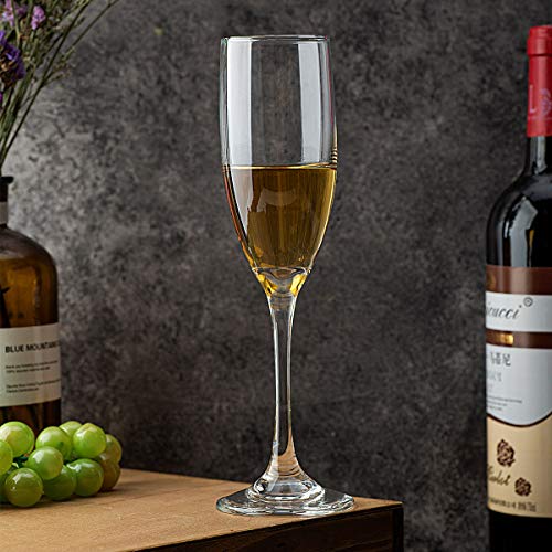 UMI UMIZILI 6 Oz Champagne Flutes Set of 12 - Premium Crystal Clear Stemware