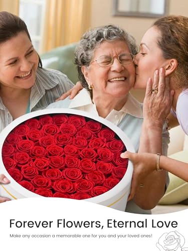 47 Preserved Red Roses in Luxury Velvet Box - Long Lasting Eternal Flowers
