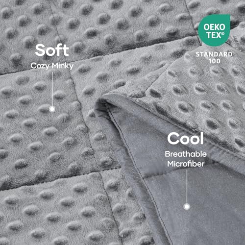 20lb Weighted Blanket for Adults, 60x80in Reversible Cooling Minky Throw