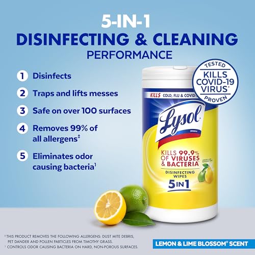 Lysol Disinfecting Wipes Multi-Purpose Cleaner 80 Count 4 Pack