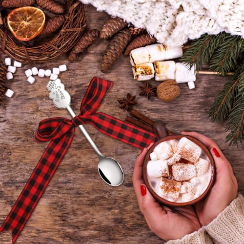Aneco 24-Piece Christmas Mini Spoon Set Stainless Steel Coffee Tea Spoons with Storage Bag