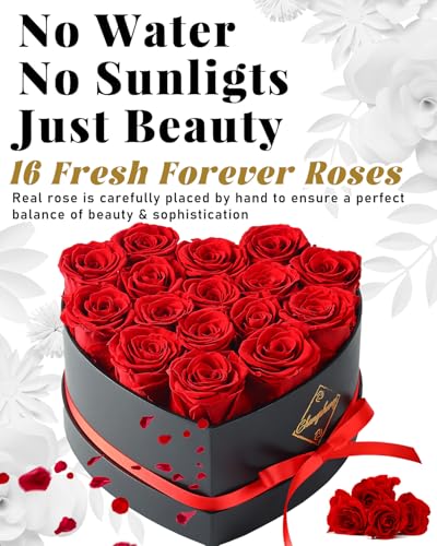 16 Preserved Roses in Heart-Shaped Gift Box - Real Eternal Flowers for Her