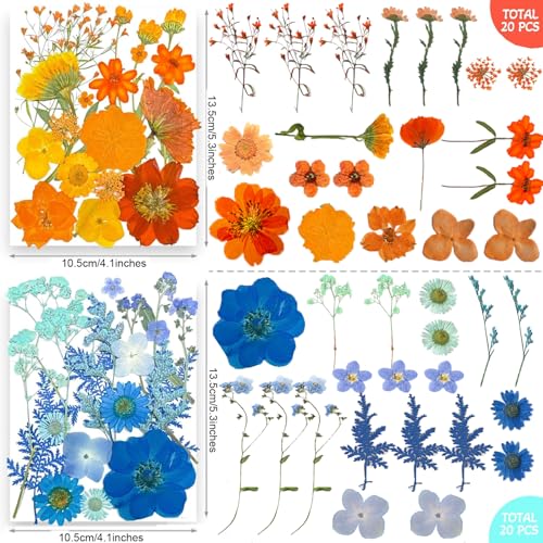 301-Piece Dried Pressed Flowers and Leaves Set for Resin Crafts and Decor
