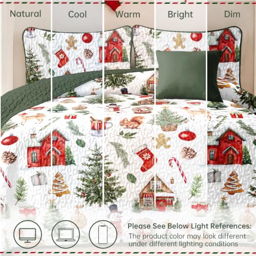 Xruibed Red & Green Christmas Quilt Set Queen 3-Piece (90x96) Elks Pattern