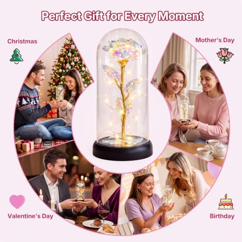 Otlonpe Colorful Preserved Glass Rose Flower Gift for Women, 7.1 Inch