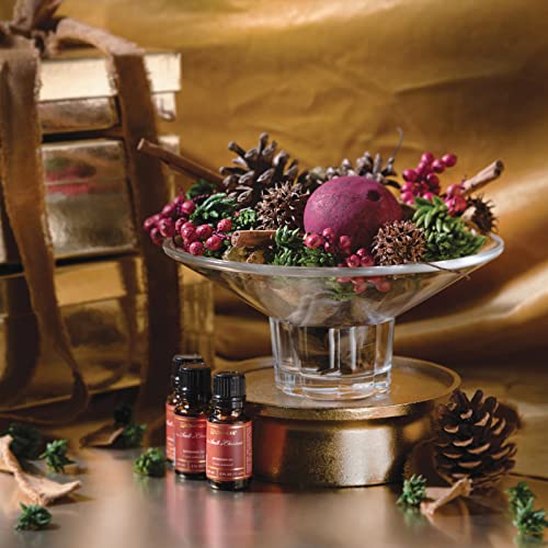 Christmas Scented Potpourri with Citrus, Spice, and Botanicals, 14 Oz