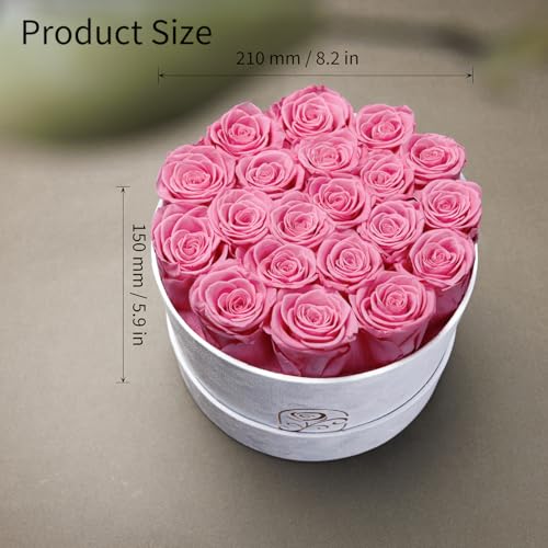 20 Preserved Real Roses in Luxury Velvet Gift Box - Long Lasting Flowers