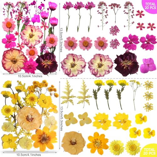 301-Piece Dried Pressed Flowers and Leaves Set for Resin Crafts and Decor