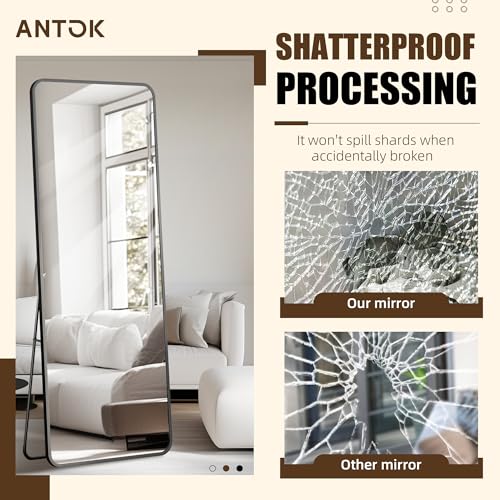 Full Length Over The Door Mirror, 49x14 Inch Wall Mounted Hanging Mirror