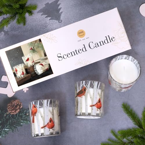 Crystal Club 6.5oz Christmas Berry Soy Wax Candle with Glass Jar