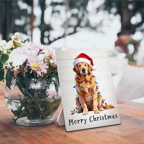 Golden Retriever Christmas Decor with Santa Hat - 5x7 Inch Wooden Sign (Variation: Golden Retriever)