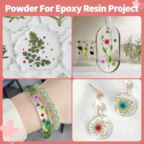 300 Pcs Mini Dried Flowers Bulk for Resin Art, DIY Crafts & Jewelry Making