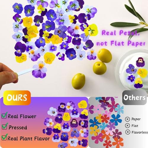 60 Pcs Natural Pressed Dried Viola Flowers for Resin Jewelry and Crafts