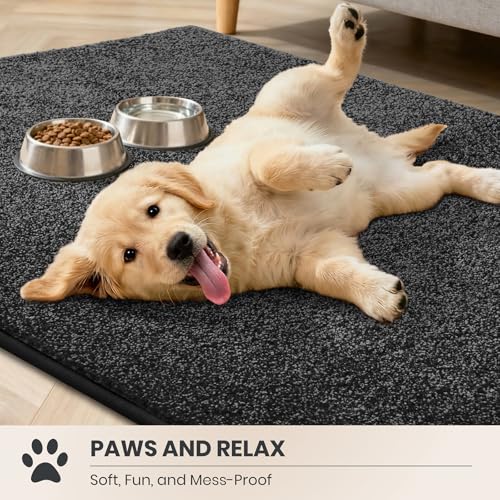 Dirt Trapping Indoor Doormat, 24" x 35.5" Non-Slip Entryway Rug, Charcoal